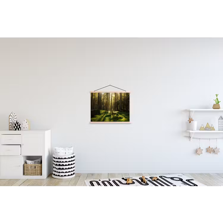 Schoolplaat - Bomen - Bos - Mos - Planten - Zon - Natuur — 3