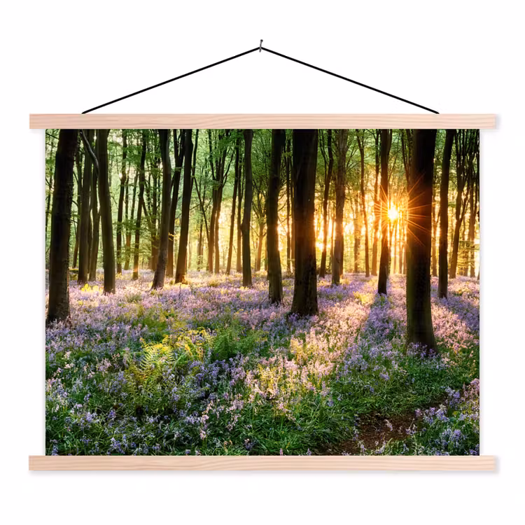 Schoolplaat - Bos - Bloemen - Lavendel - Zon - Paars - Natuur — 1