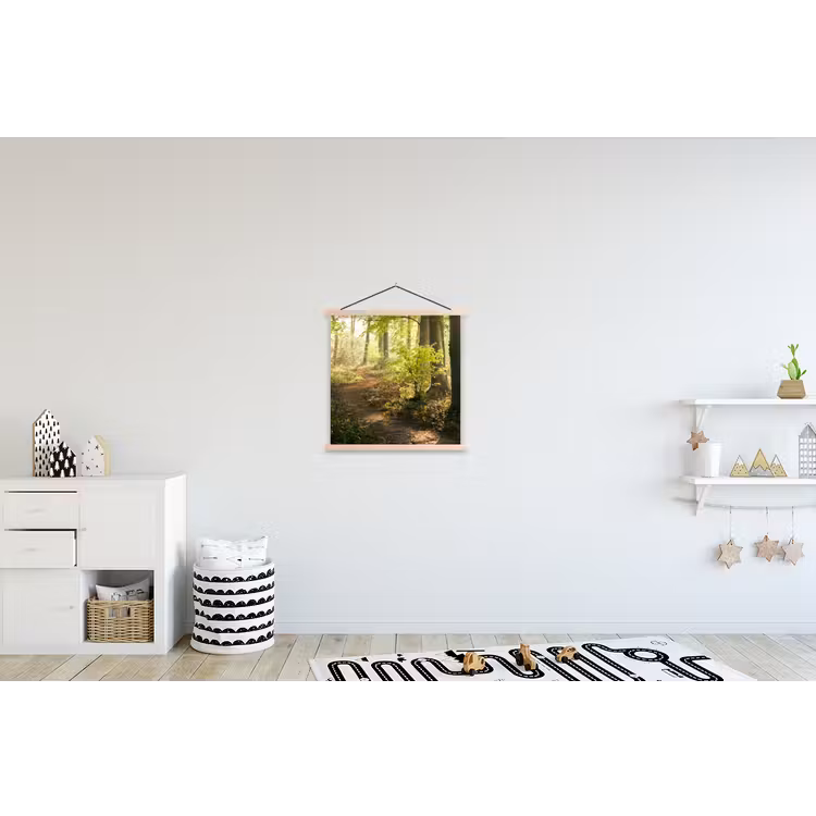 Schoolplaat - Bos - Bomen - Pad - Zon - Planten - Bladeren - Natuur — 3