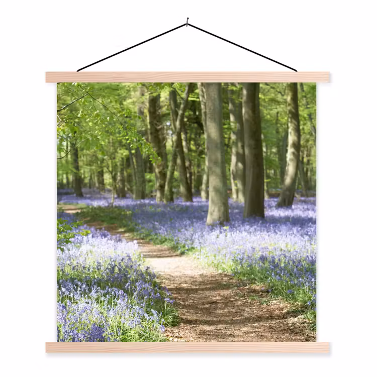 Schoolplaat - Bos - Pad - Bloemen - Paars - Groen - Natuur — 1
