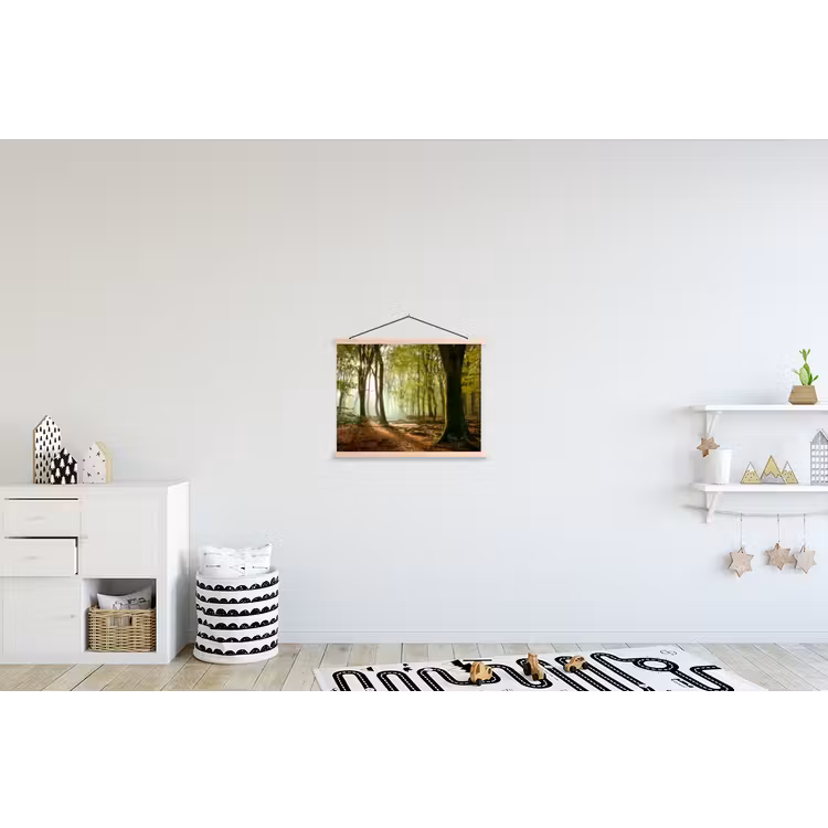 Schoolplaat - Bos - Zon - Seizoenen - Landschap — 3