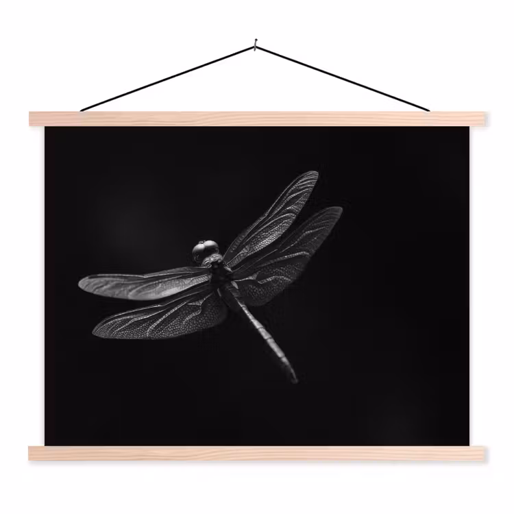 Schoolplaat - Libelle - Dieren - Zwart - Insect — 1