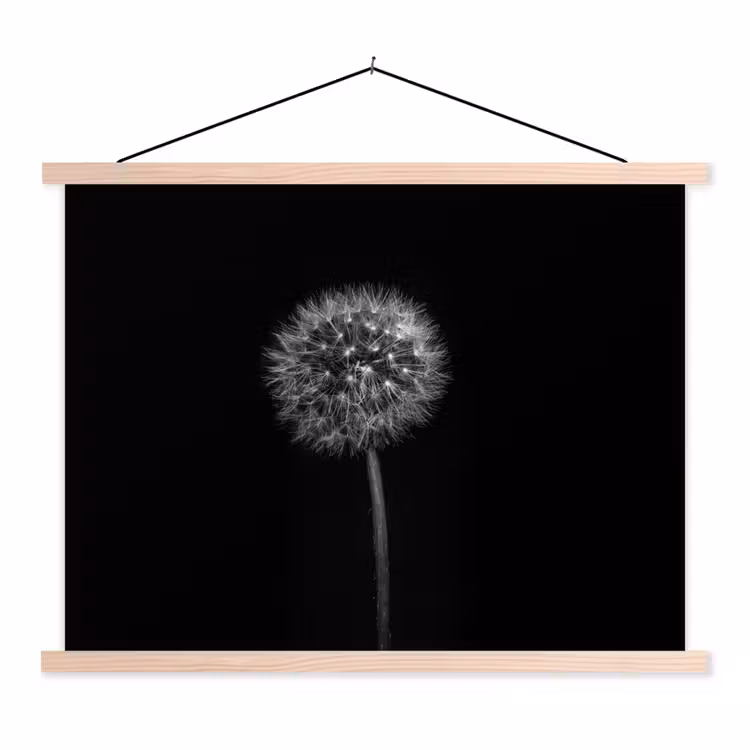 Schoolplaat - Paardenbloem - Zwart - Bloemen - Botanisch — 1