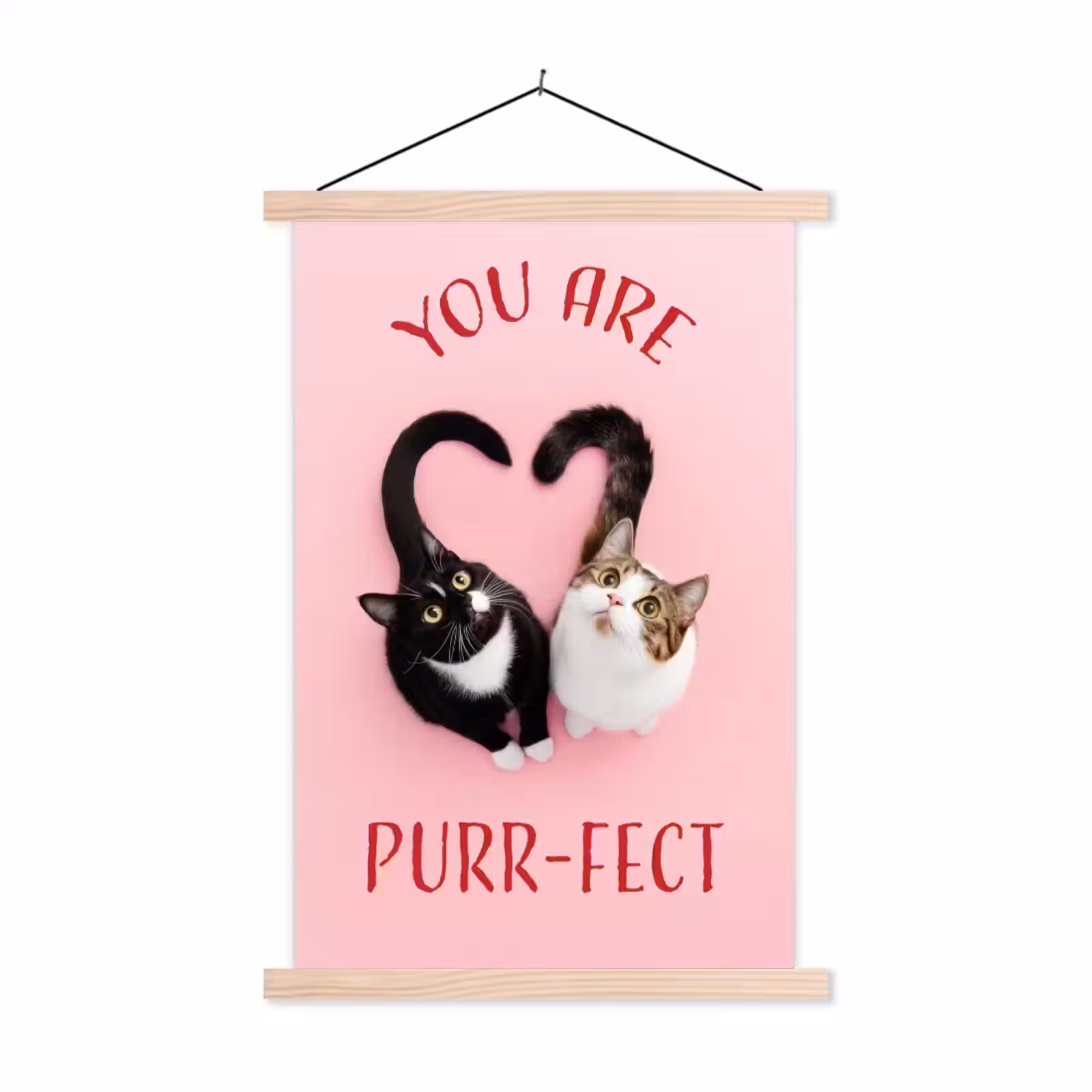 Schoolplaat - Kat - Hart - Tekst - Valentijn — 1