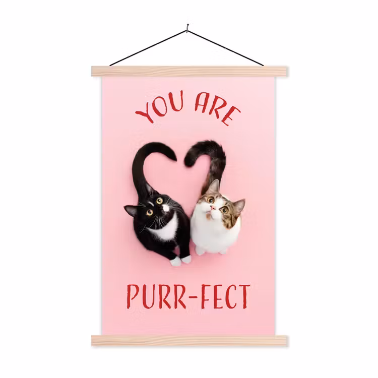 Schoolplaat - Kat - Hart - Tekst - Valentijn — 1