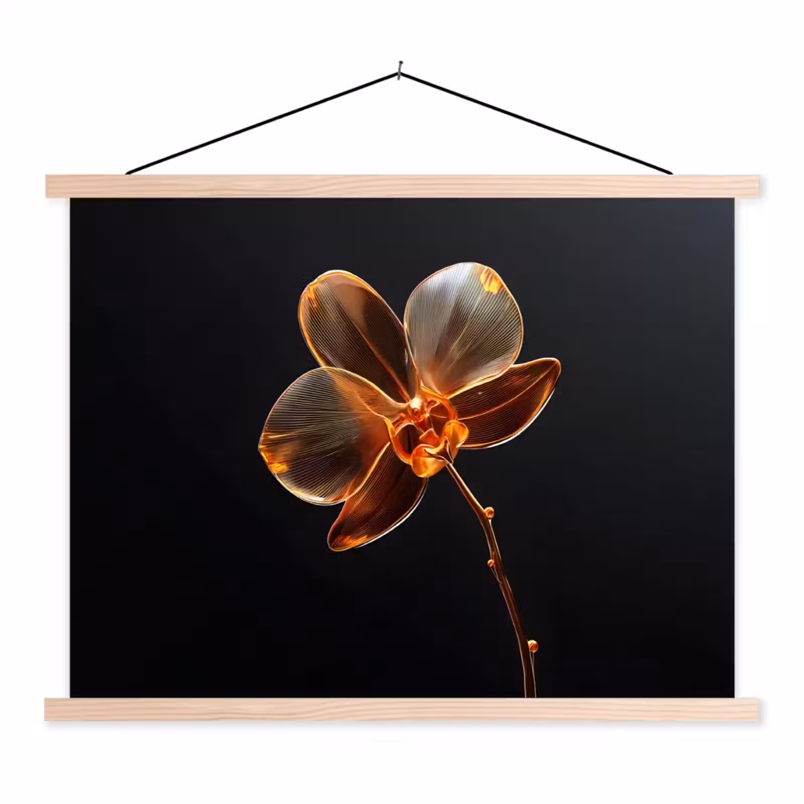 Schoolplaat - Orchidee - Doorzichtig - Bloem — 1