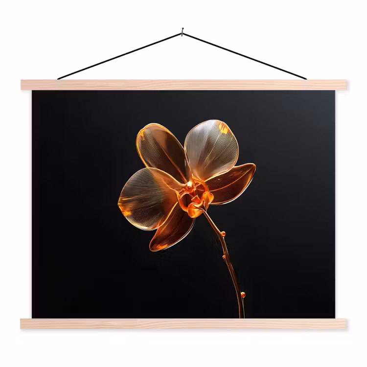 Schoolplaat - Orchidee - Doorzichtig - Bloem — 1