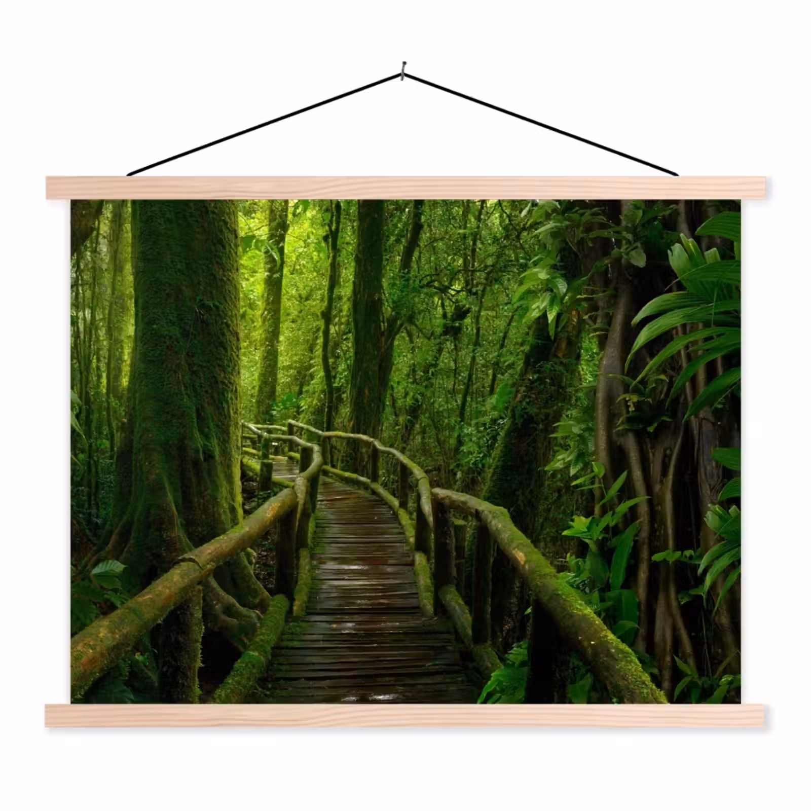 Schoolplaat - Jungle - Brug - Mos - Natuur - Tropisch — 1