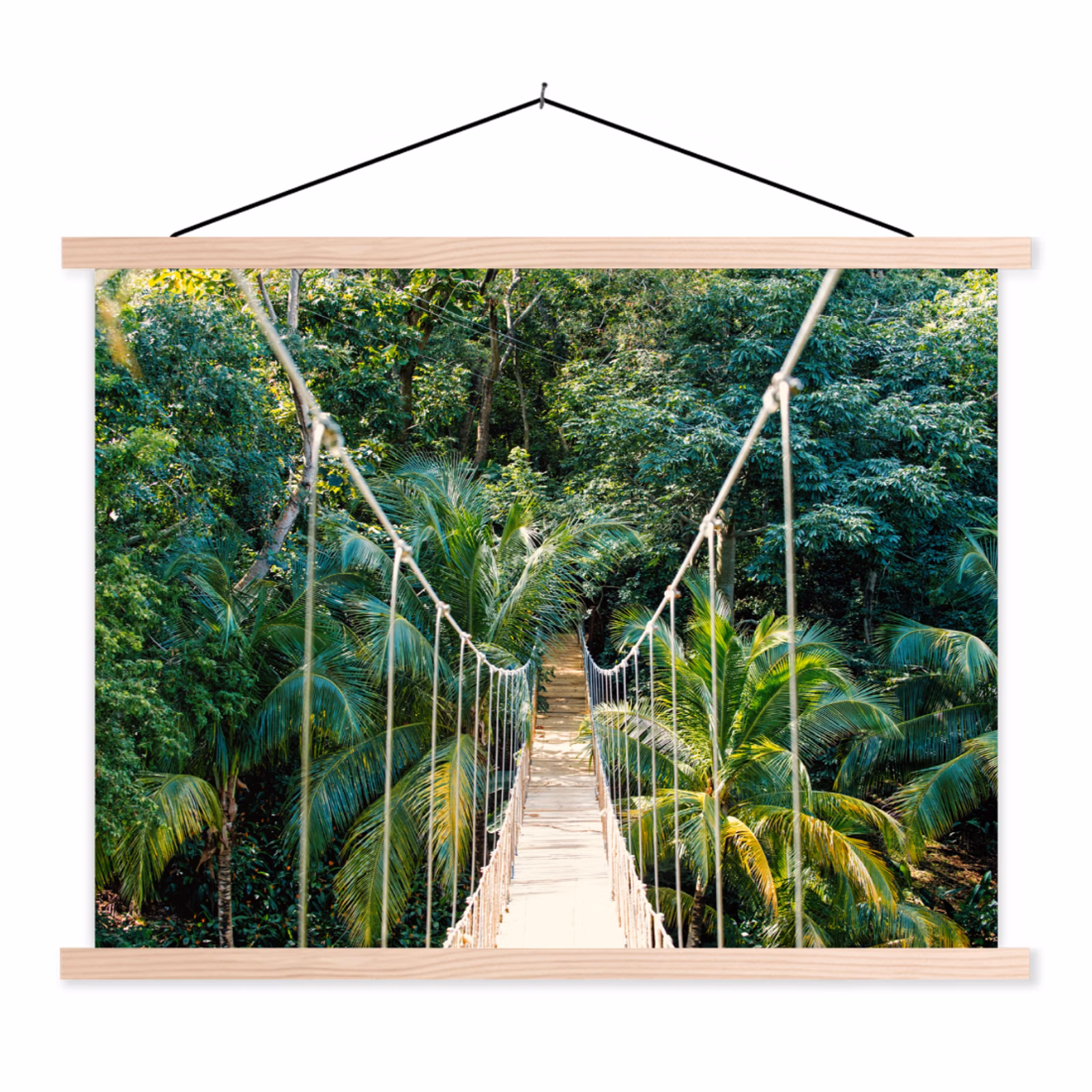 Schoolplaat - Jungle - Palmboom - Brug - Natuur - Planten — 1