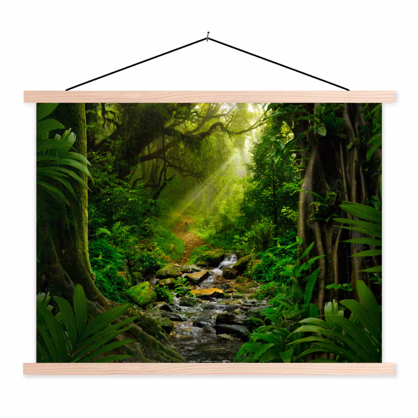 Schoolplaat - Jungle - Water - Bladeren - Zon - Natuur — 1