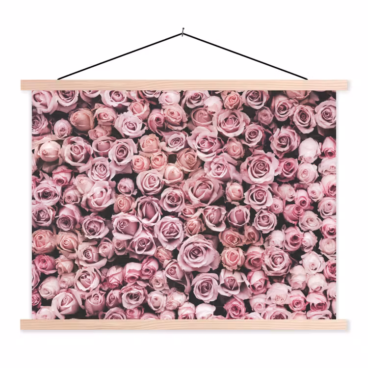 Schoolplaat - Bloemen - Rozen - Natuur - Roze - Botanisch — 1