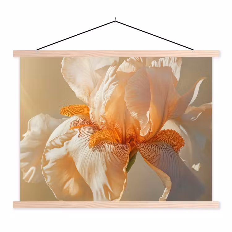 Schoolplaat - Close up - Oranje - Iris — 1