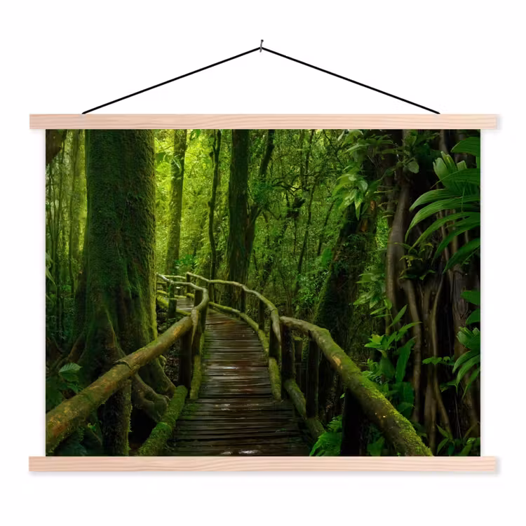 Schoolplaat - Jungle - Brug - Mos - Natuur - Tropisch — 1