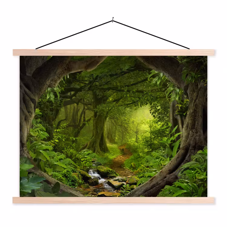 Schoolplaat - Jungle - Groen - Natuur - Tropisch - Planten — 1