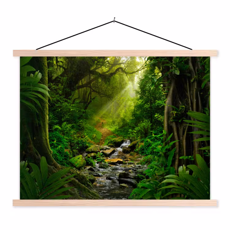 Schoolplaat - Jungle - Water - Bladeren - Zon - Natuur — 1