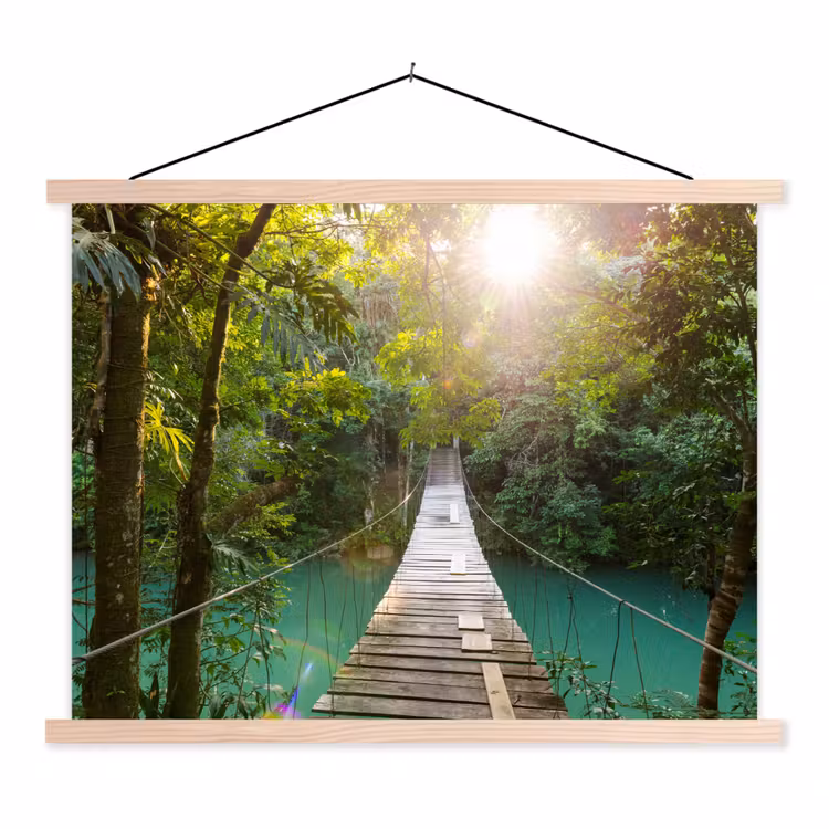 Schoolplaat - Jungle - Water - Brug - Natuur - Planten — 1