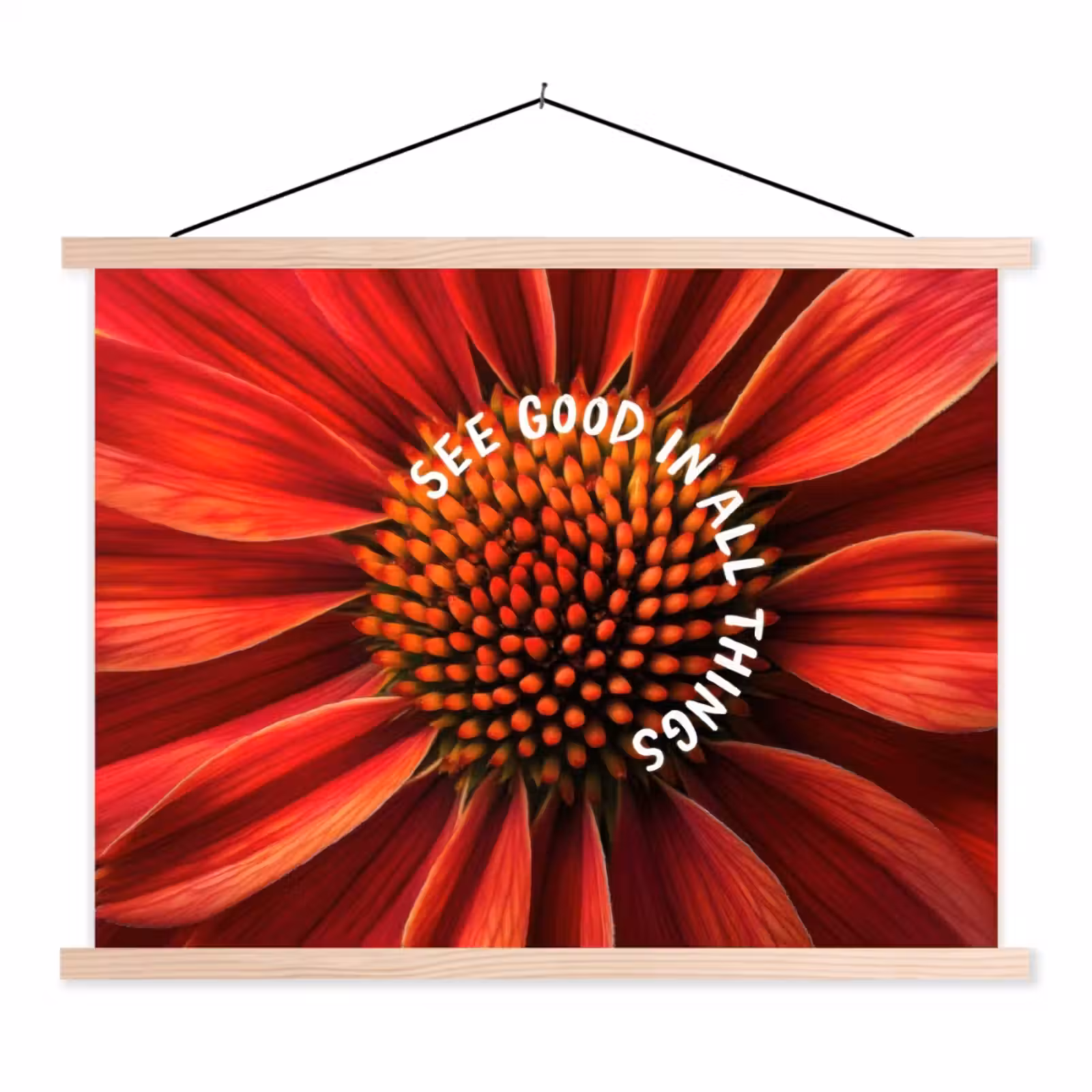 Schoolplaat - Close up - Bloem - Quote - Rood — 1