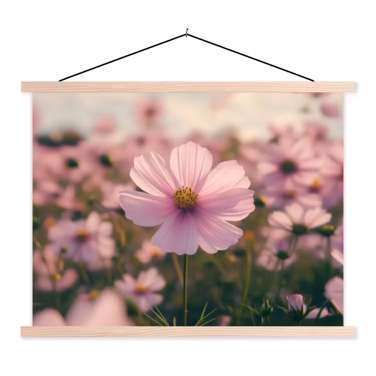 Schoolplaat - Bloemen - Paars - Wazig — 1