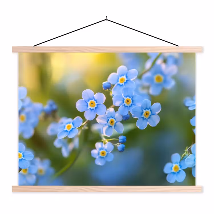Schoolplaat - Bloemetjes - Blauw - Vergeet mij nietjes — 1
