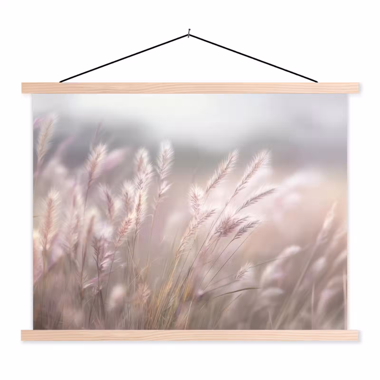 Schoolplaat - Graspluimen - Wind - Beige - Mistig — 1