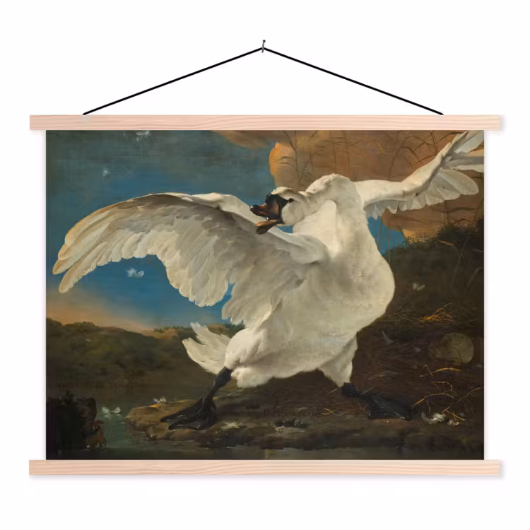 Schoolplaat - De bedreigde zwaan - Schilderij van Jan Asselijn — 1
