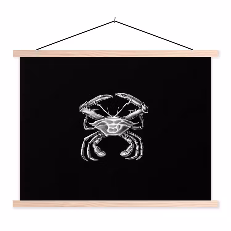 Schoolplaat - Ernst Haeckel - Krab - Oude meesters - Vintage - Dieren - Kunst — 1