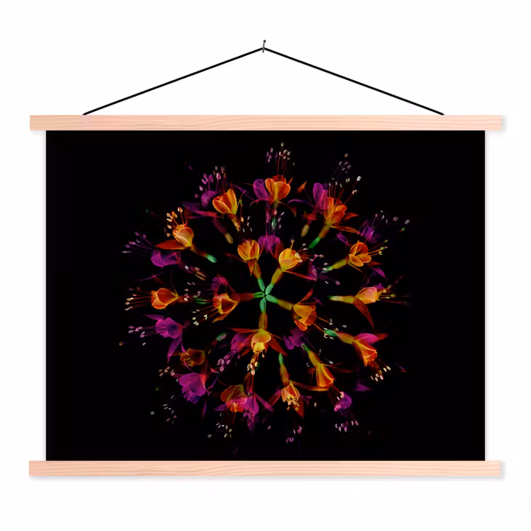 Schoolplaat - Bloemen - Oranje - Roze - Zwart — 1