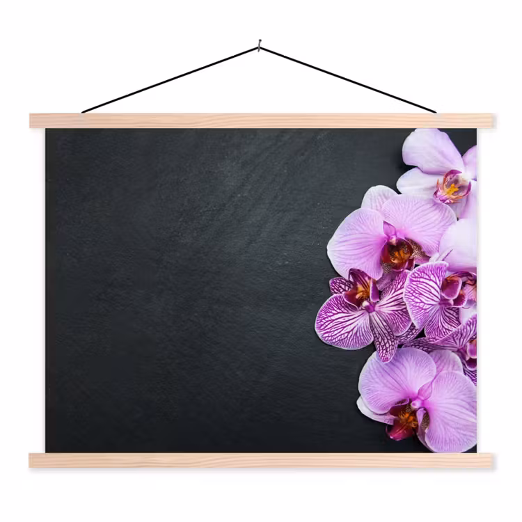 Schoolplaat - Orchidee - Bloemen - Roze - Flora — 1