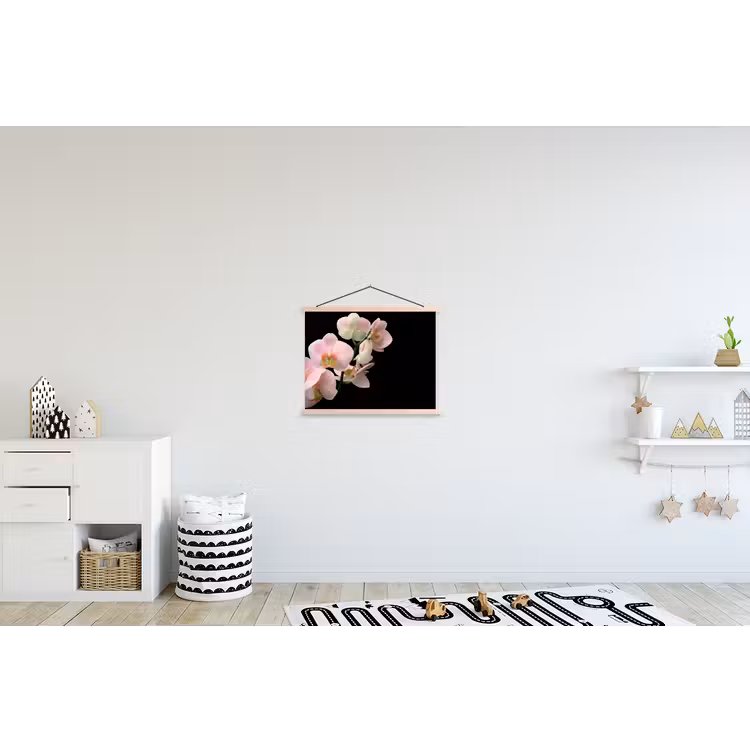 Schoolplaat - Orchidee - Bloemen - Roze - Stilleven - Flora — 3