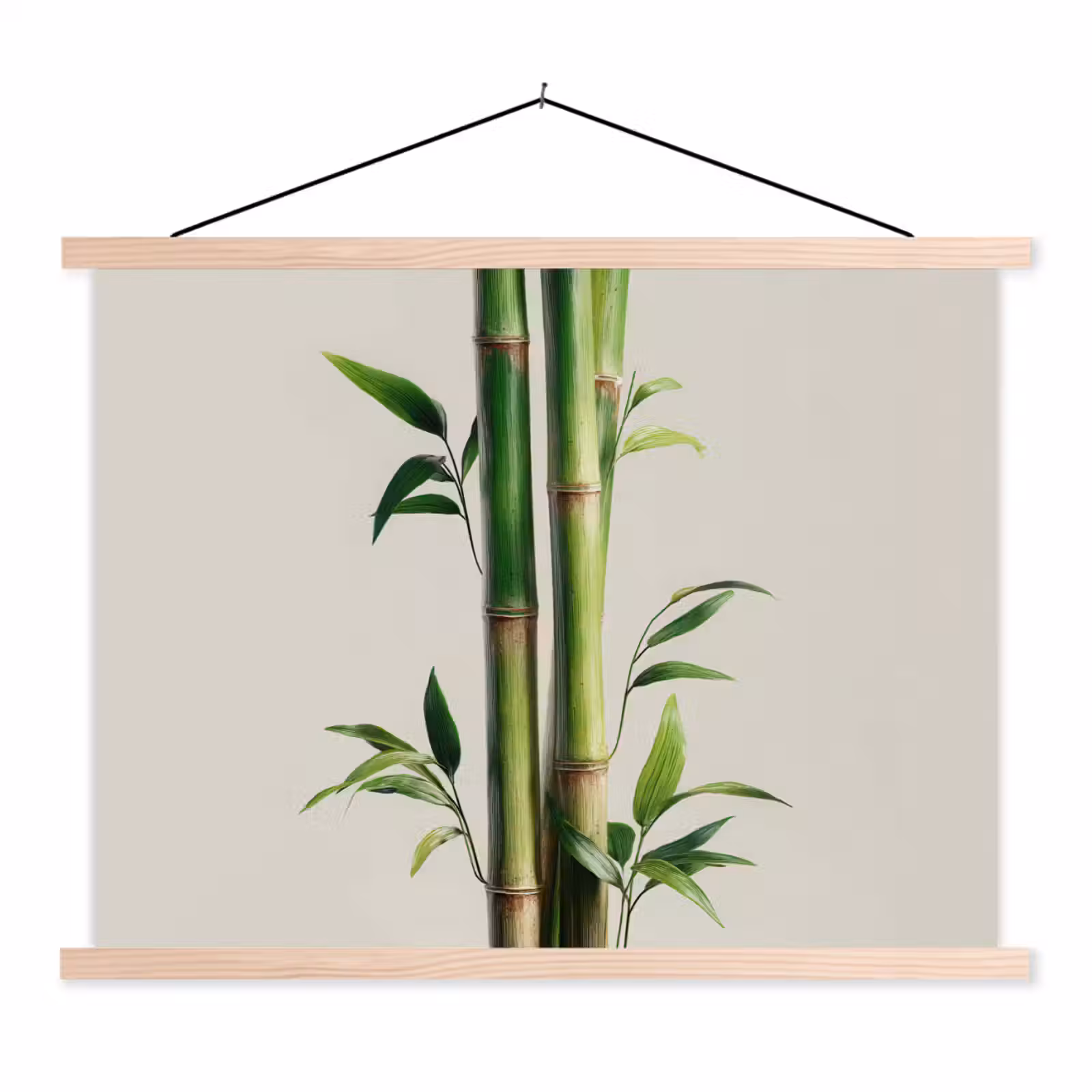 Schoolplaat - Bamboestengels - Sierlijk - Groen — 1