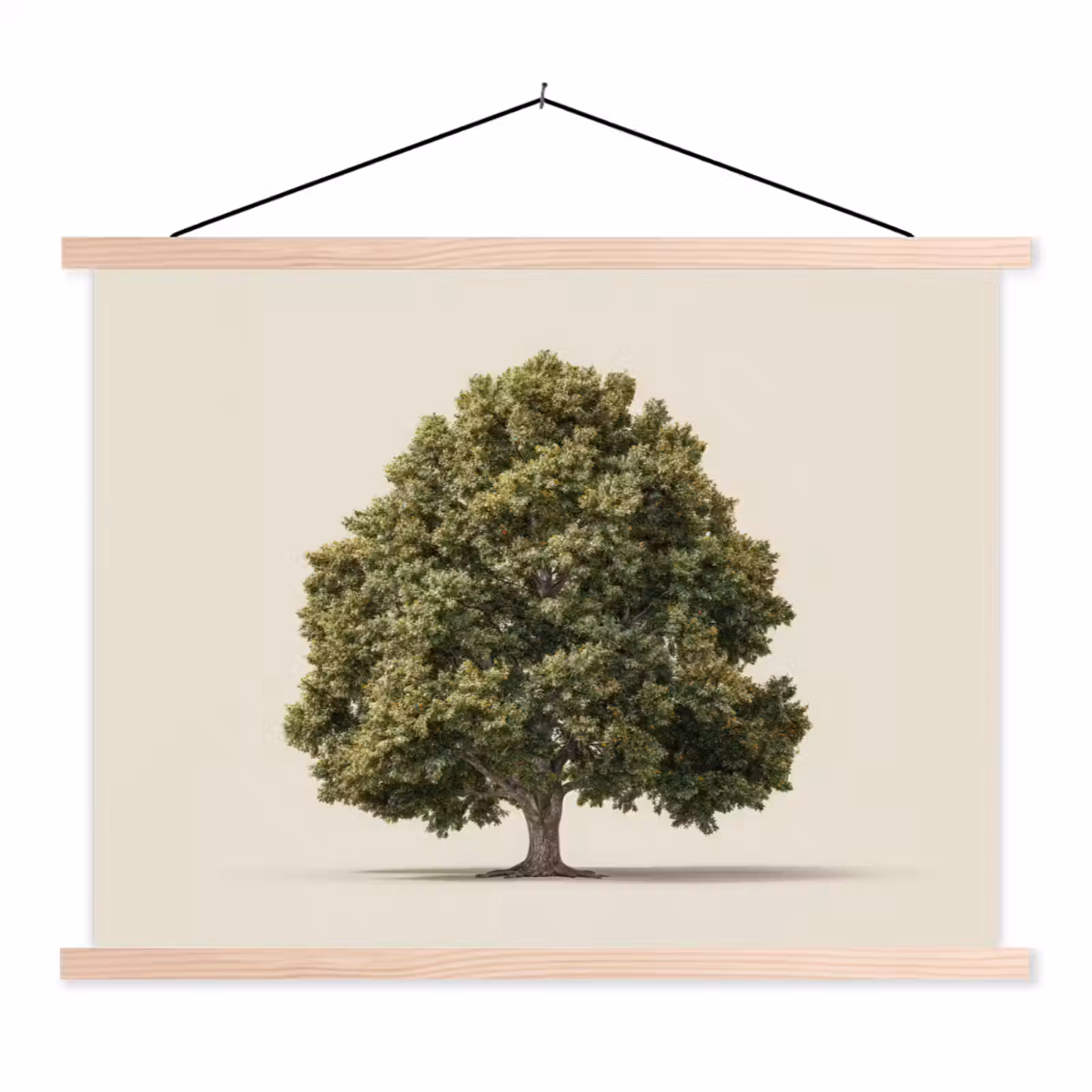 Schoolplaat - Eikenboom - Groen - Lichte achtergrond — 1