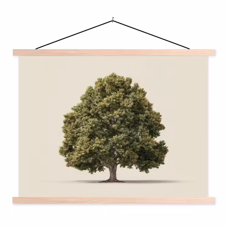 Schoolplaat - Eikenboom - Groen - Lichte achtergrond — 1