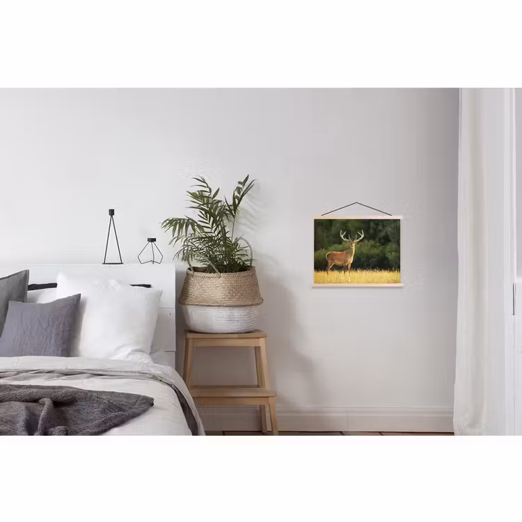Schoolplaat - Hert - Gewei - Gras - Natuur - Dieren - Groen — 2