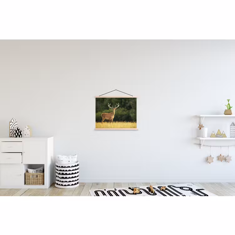 Schoolplaat - Hert - Gewei - Gras - Natuur - Dieren - Groen — 3