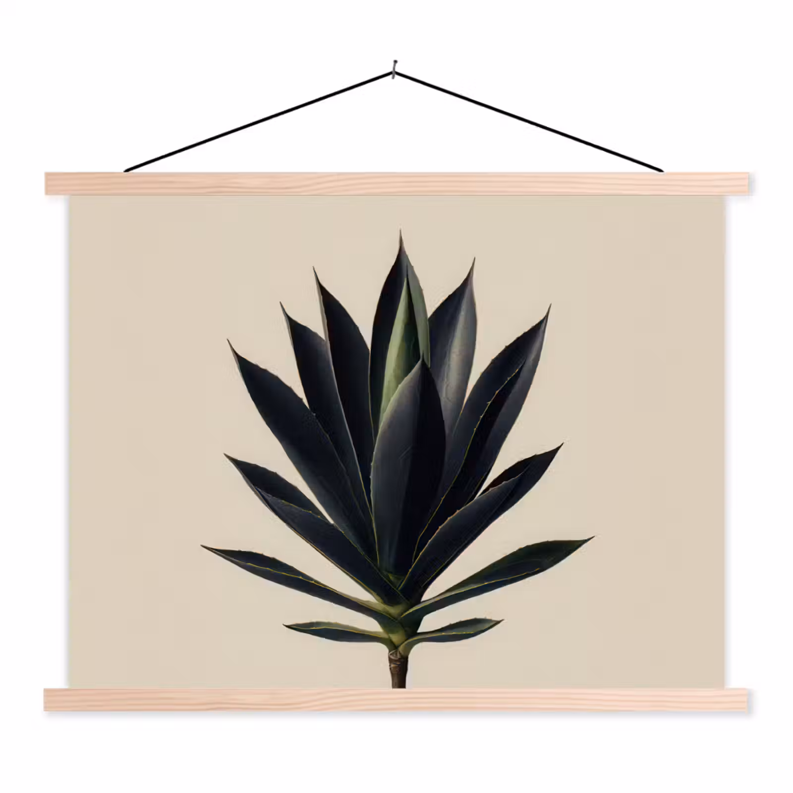 Schoolplaat - Agaveplant - Symmetrisch - Groen — 1
