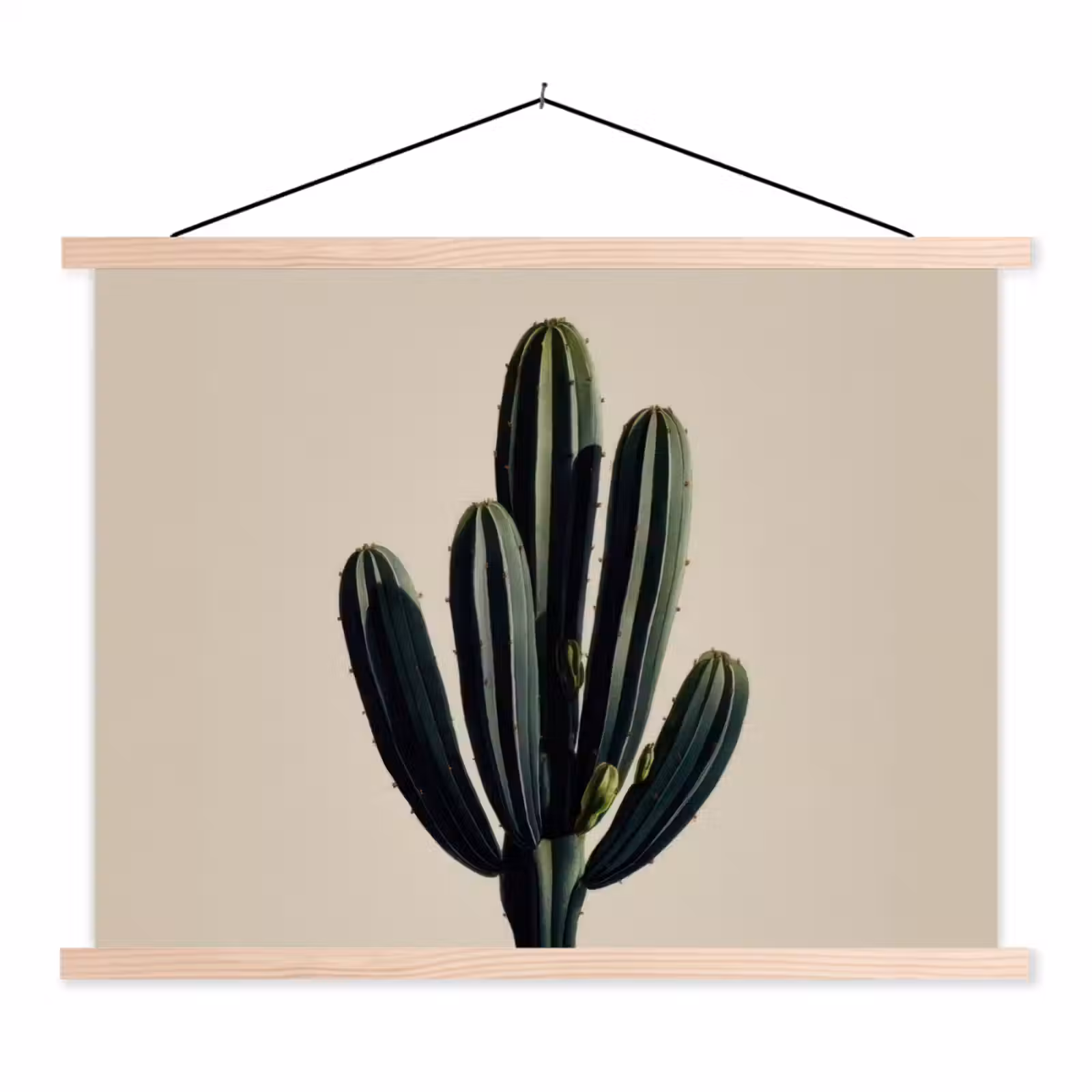 Schoolplaat - Cactus - Subtiel - Groen — 1
