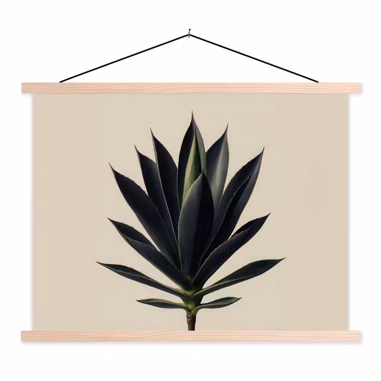 Schoolplaat - Agaveplant - Symmetrisch - Groen — 1