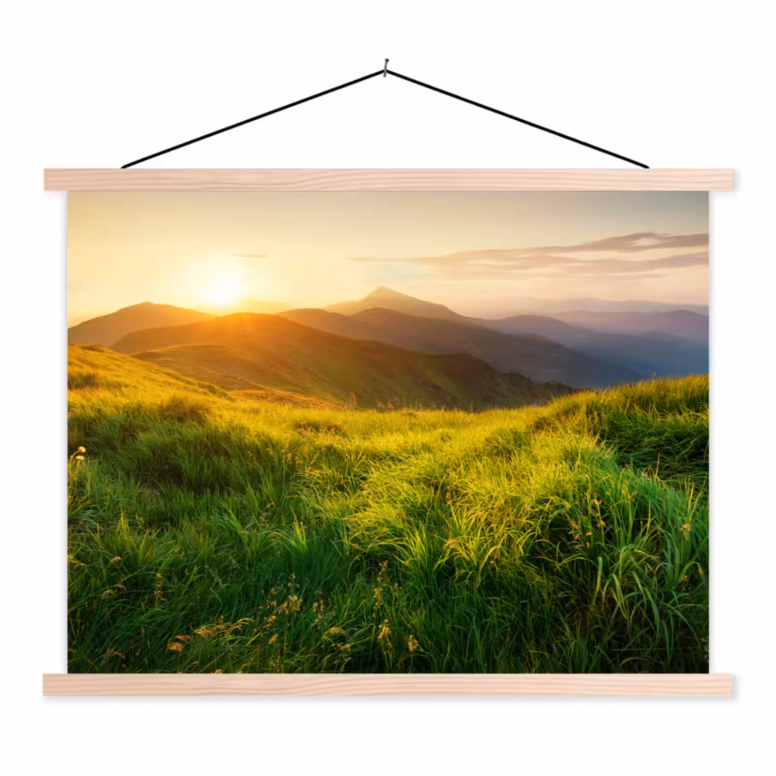 Schoolplaat - Gras - Heuvels - Zon - Natuur - Landschap — 1