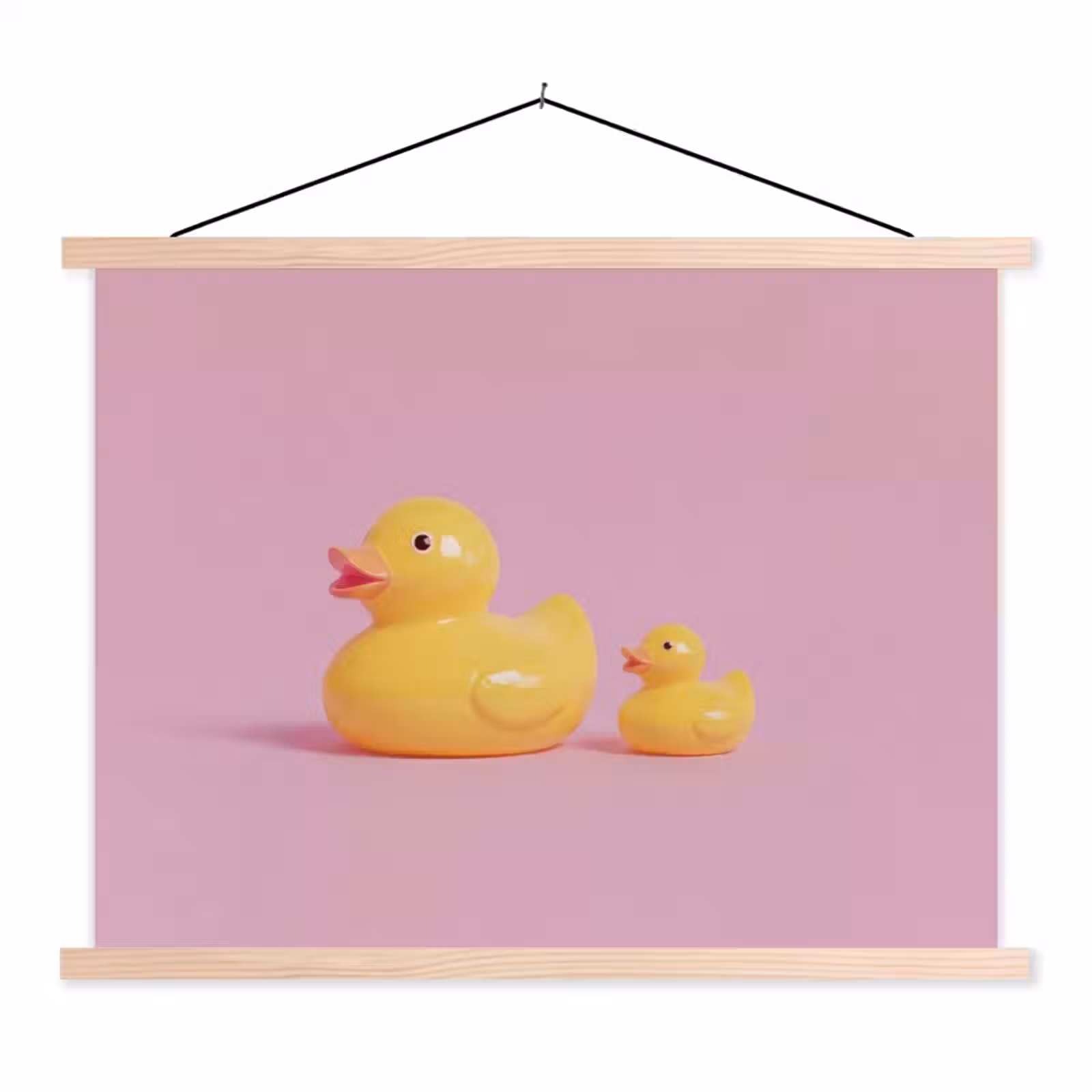 Schoolplaat - Eendjes - Vrolijk - Roze — 1