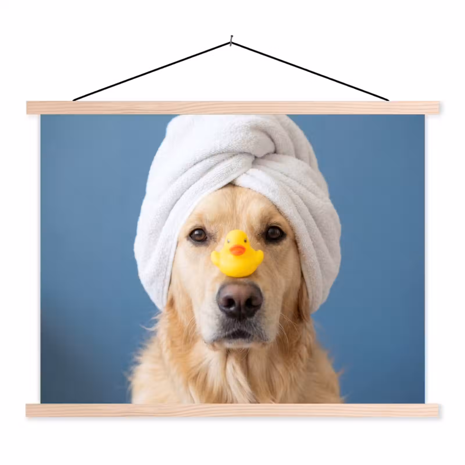 Schoolplaat - Hond - Badeend - Geel — 1