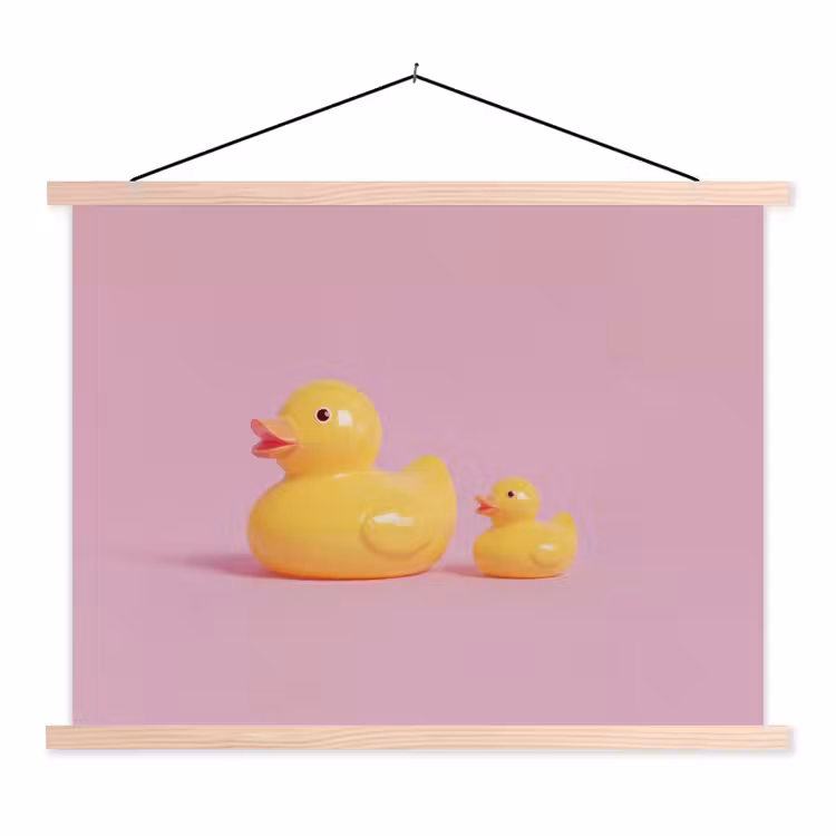 Schoolplaat - Eendjes - Vrolijk - Roze — 1
