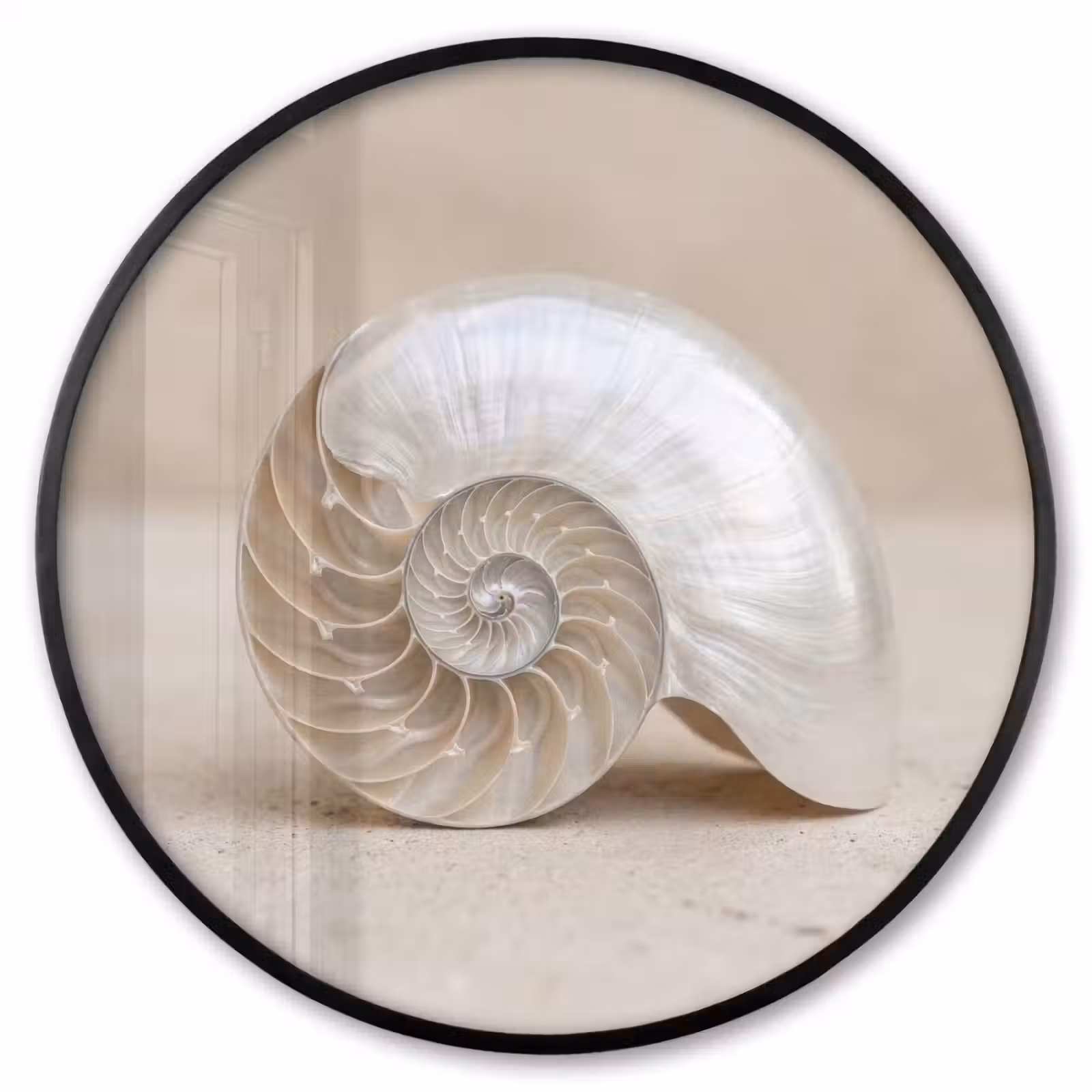 Ronde fotolijst - Schelp - Spiraal - Beige — 1