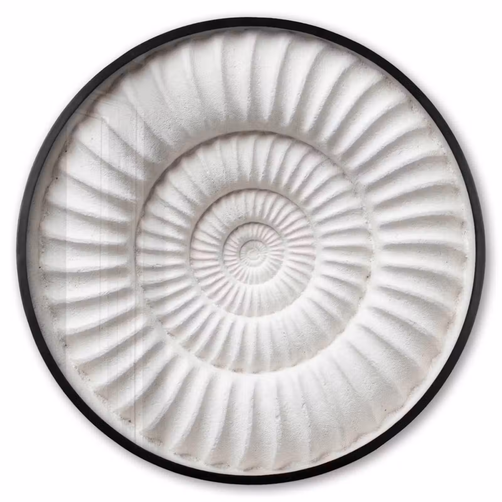 Ronde fotolijst - Schelp - Spiraal - Wit — 1