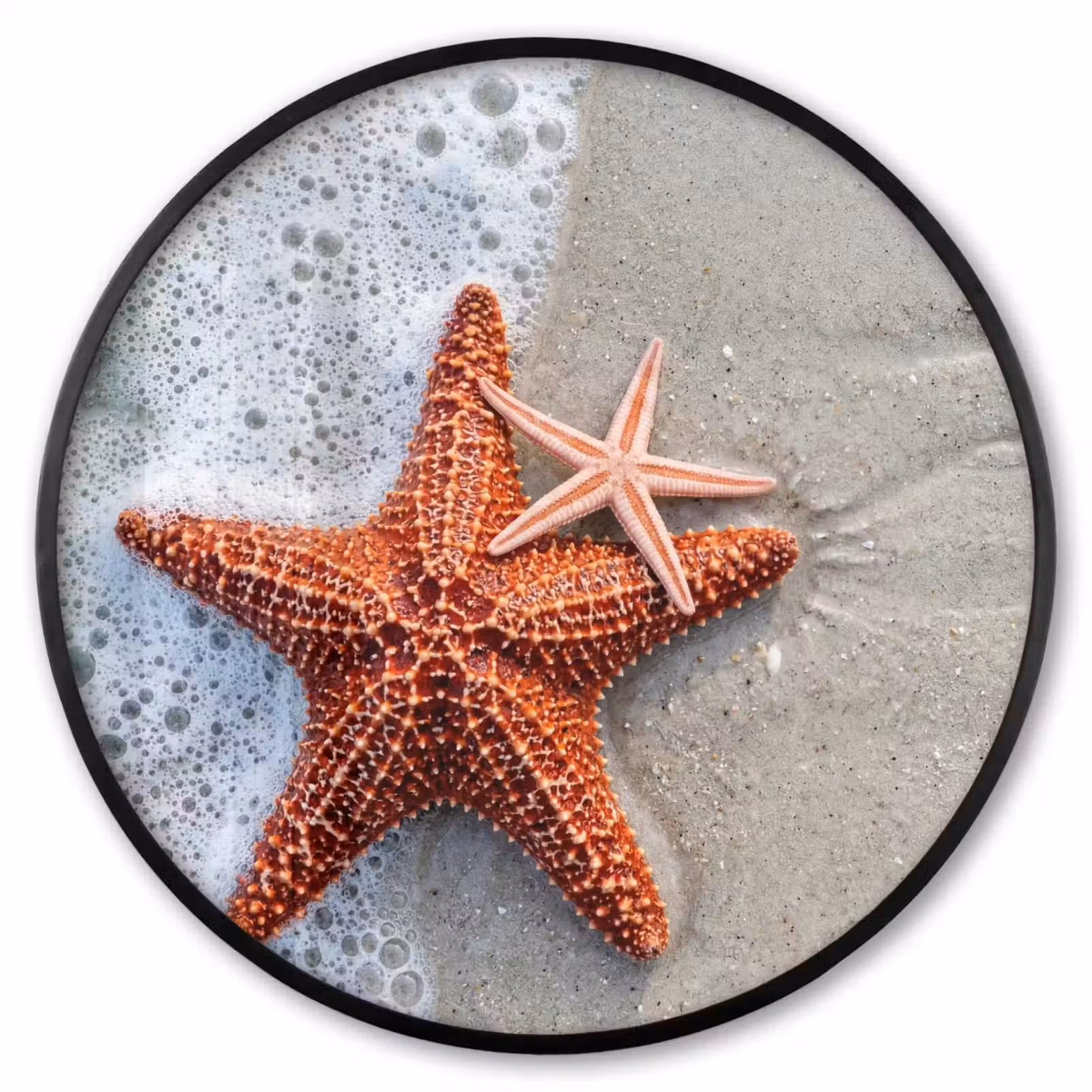 Ronde fotolijst - Zeester - Strand - Zee — 1