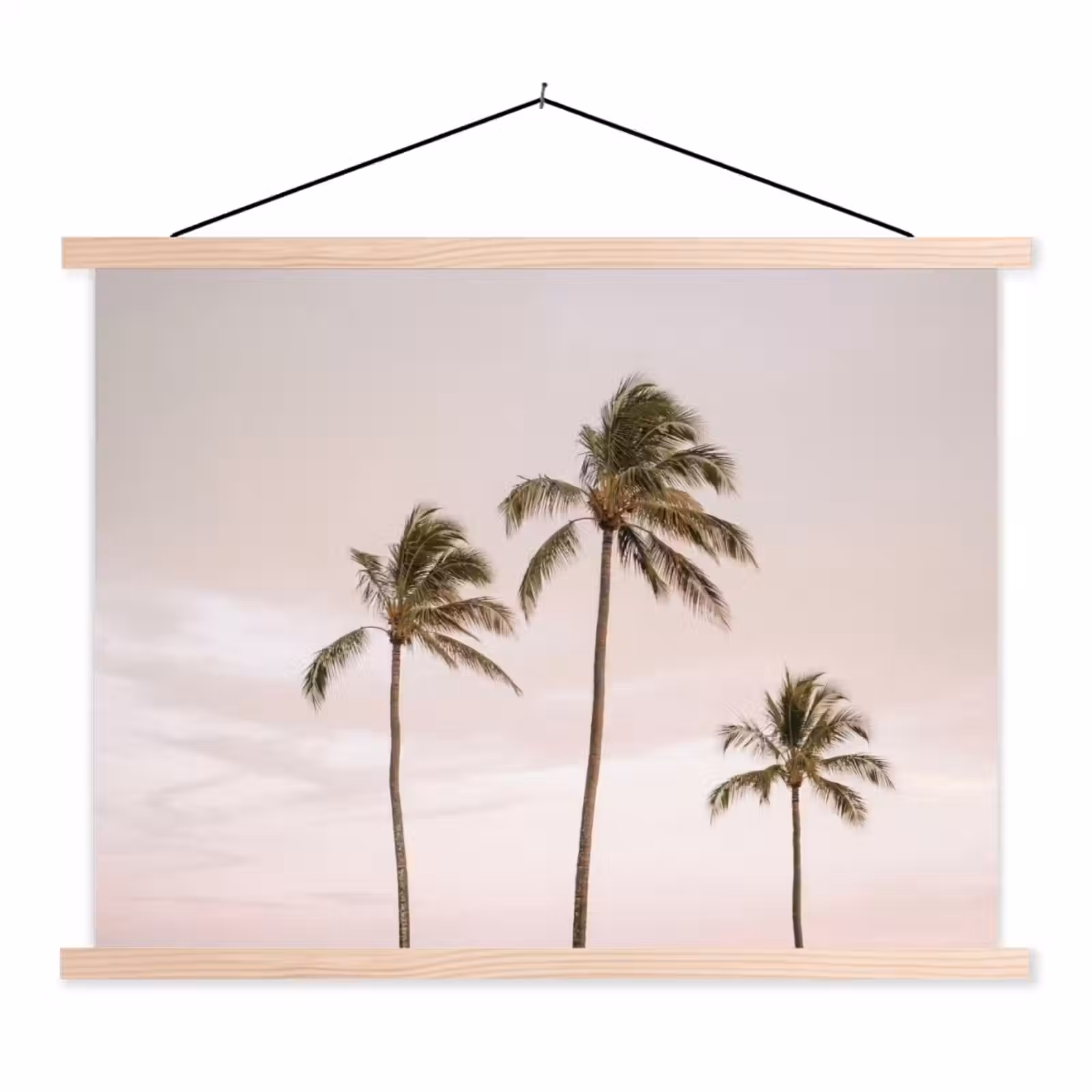 Schoolplaat - Palmbomen - Zonsondergang - Roze — 1