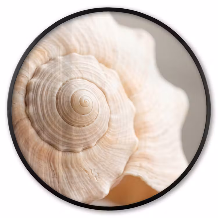 Ronde fotolijst - Schelp - Detail - Beige — 1