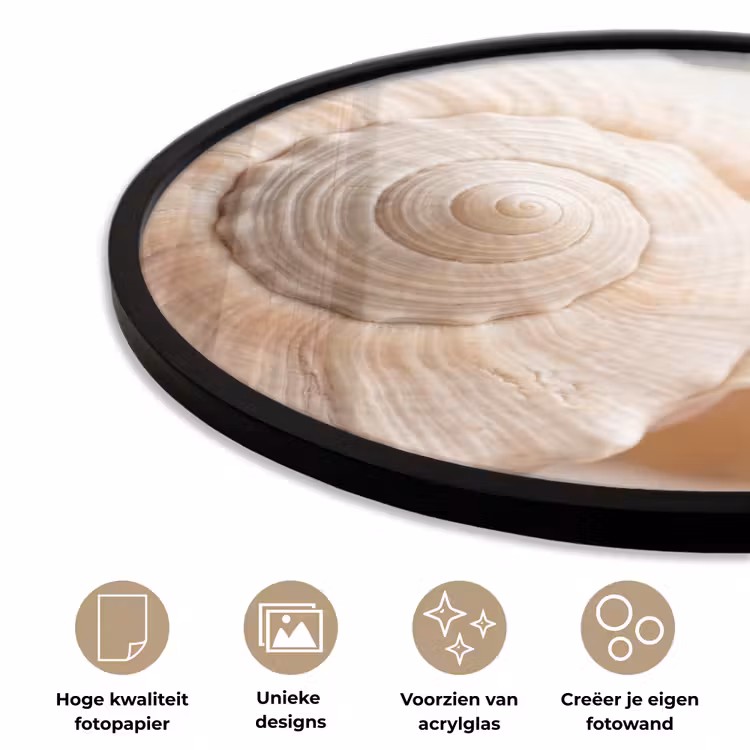 Ronde fotolijst - Schelp - Detail - Beige — 5