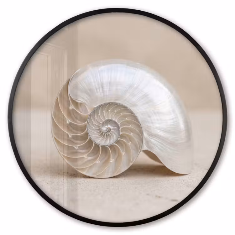 Ronde fotolijst - Schelp - Spiraal - Beige — 1
