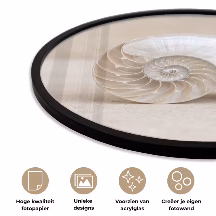 Ronde fotolijst - Schelp - Spiraal - Beige — 5