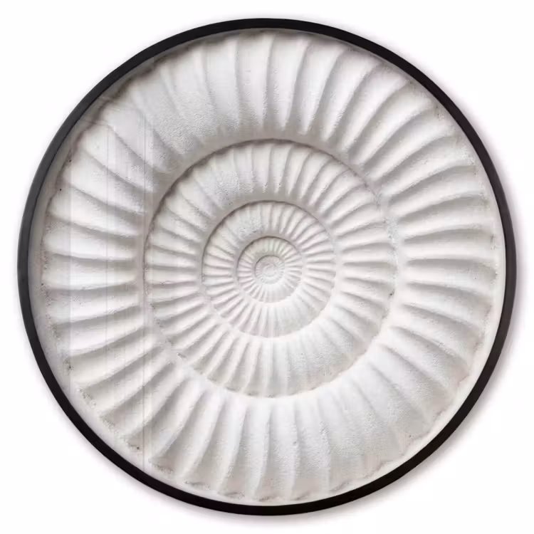 Ronde fotolijst - Schelp - Spiraal - Wit — 1